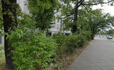 Augenarzt Augenarztpraxis Dr. med. Kirk Nordwald